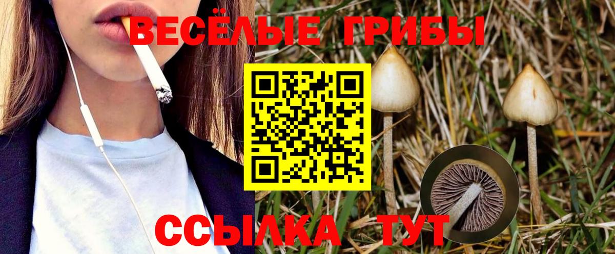 Псилоцибиновые грибы Psilocybe  купить наркоту  Узловая  Галлюциногенные грибы Cubensis  Вход с VPN 